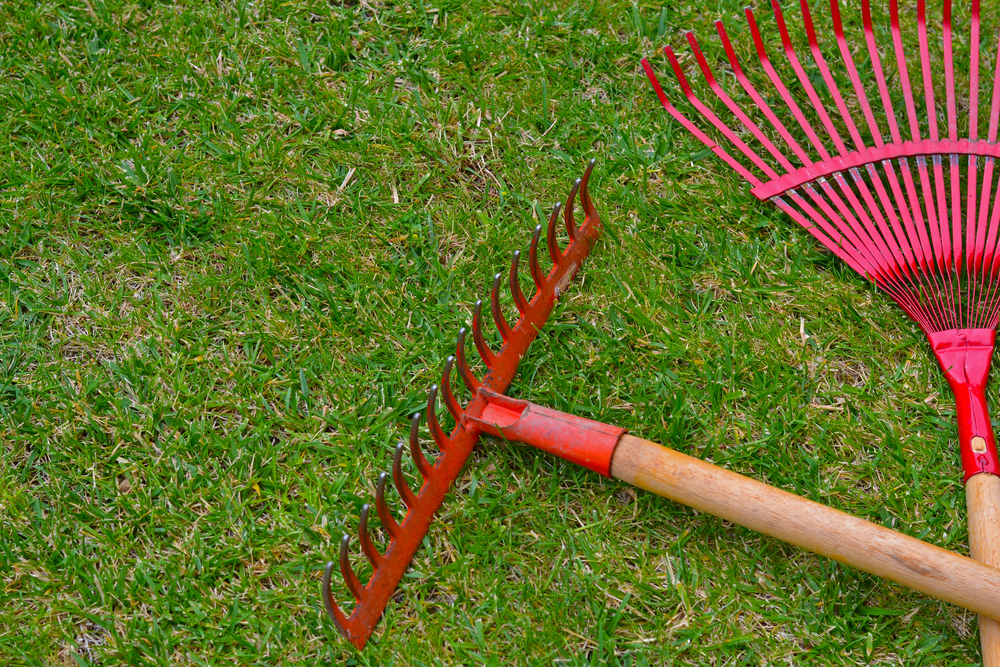 The Season of New Beginnings for Your Lawn!