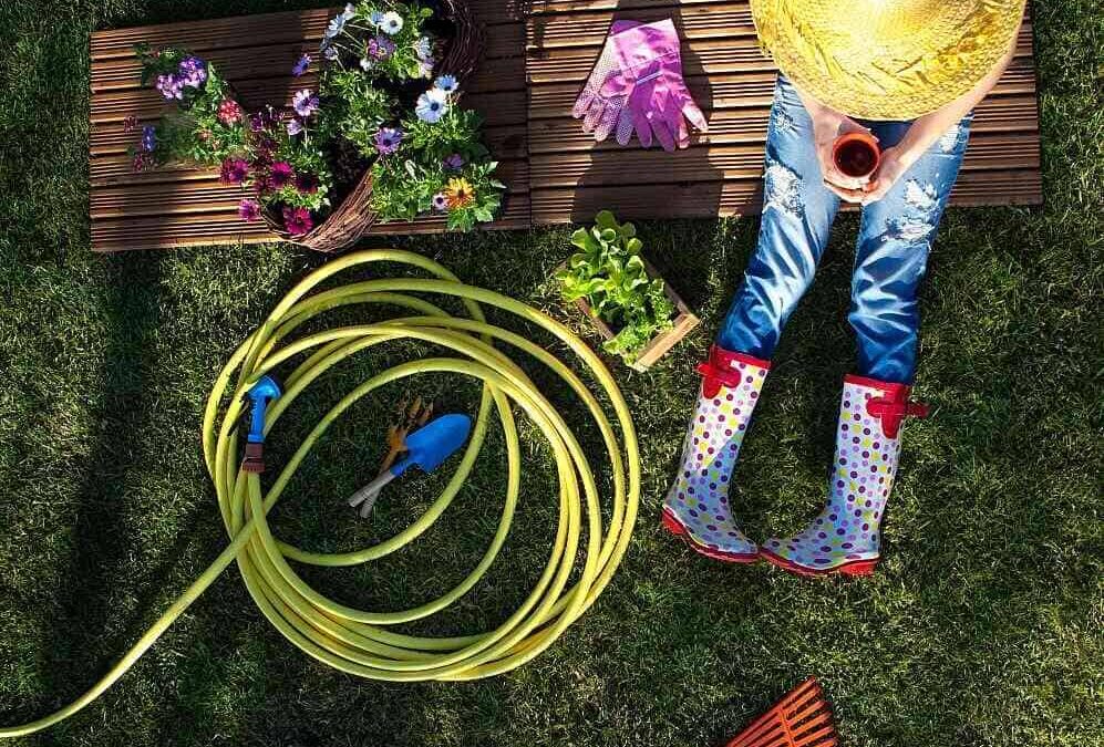  Lawn Care Mistakes to Avoid This Spring!