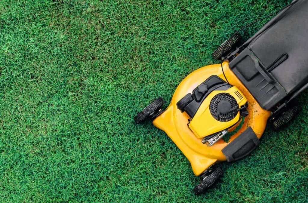 Mowing Hits Different in the Summer