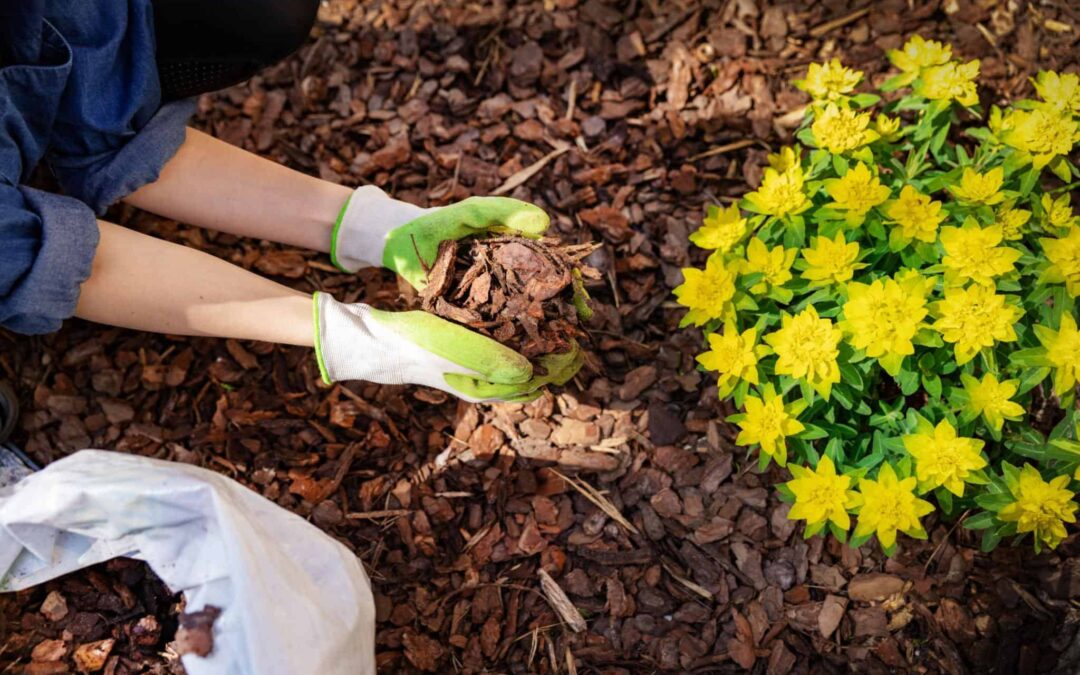 It's Not Too Late to Fall for Mulch