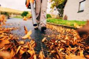 seasonal cleanup in Elkhart INDIANA