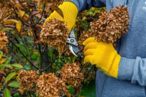 seasonal cleanup in Elkhart INDIANA