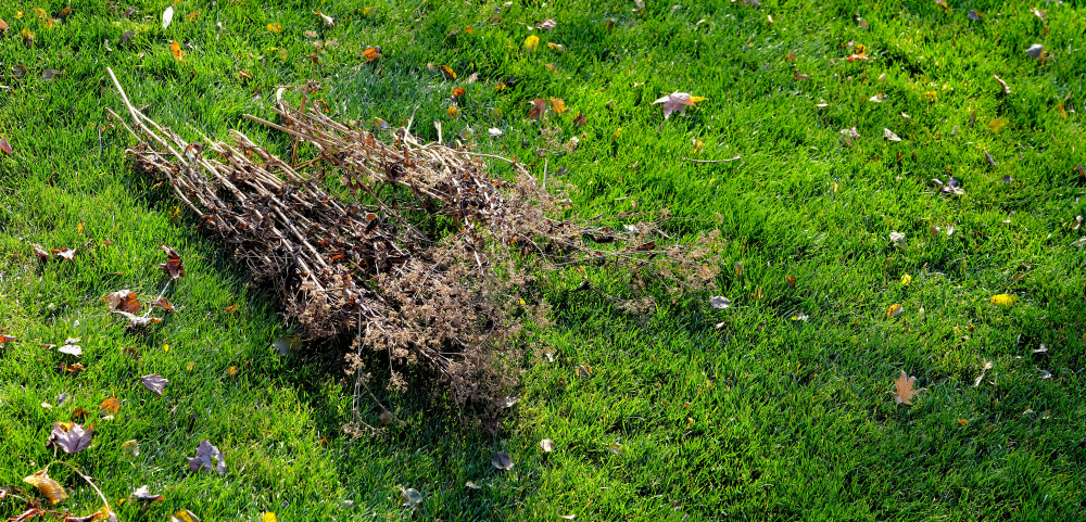 Spring into Cleanup!