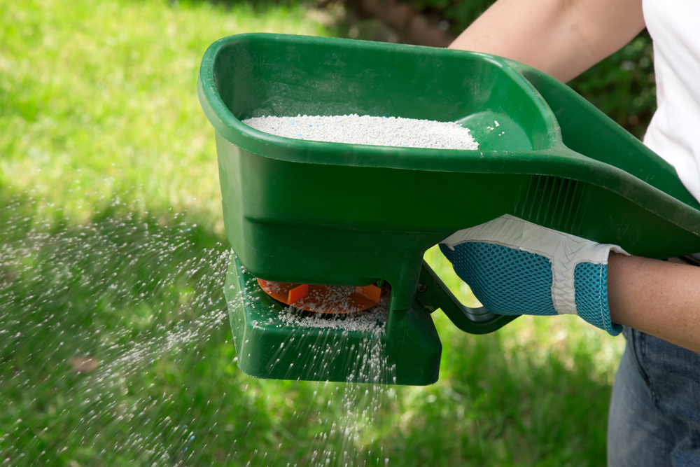 Gloved hands holding a green spreader applying fertilizer to a lawn in Bristol