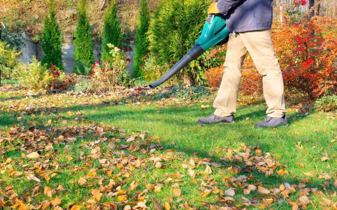 Fall Cleanup Made Easy: Leaf Removal Tips For Efficient Service