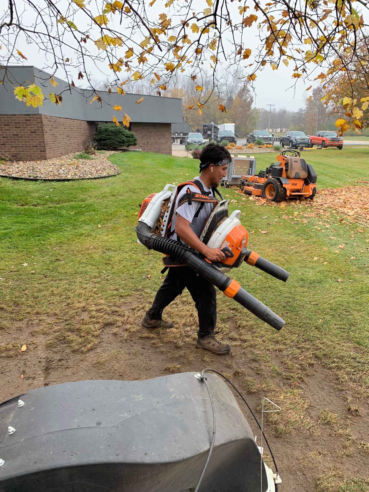 Schedule comprehensive leaf removal services and follow-up with curbside pickup in Indiana