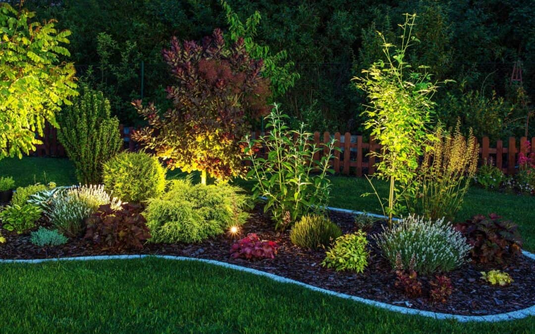 Bright Ideas: Landscape Lighting for Cozy Fall Evenings