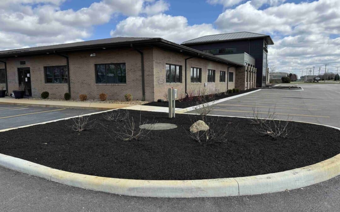 How Mulching Can Cut Water Consumption