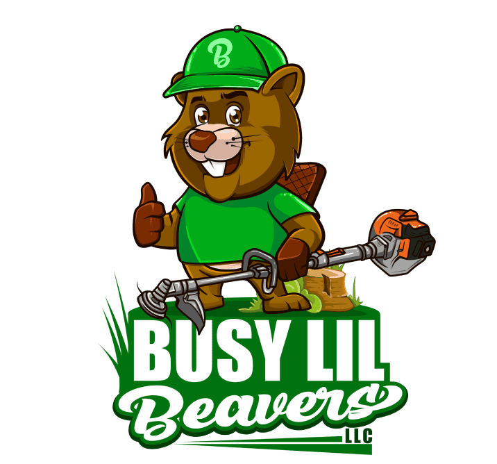 Busy Lil Beavers Logo