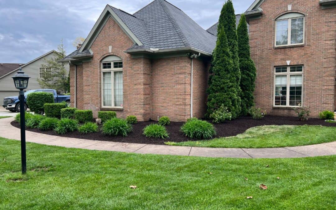 Smart Fall Cleanups | The October Playbook For A Tidy Yard