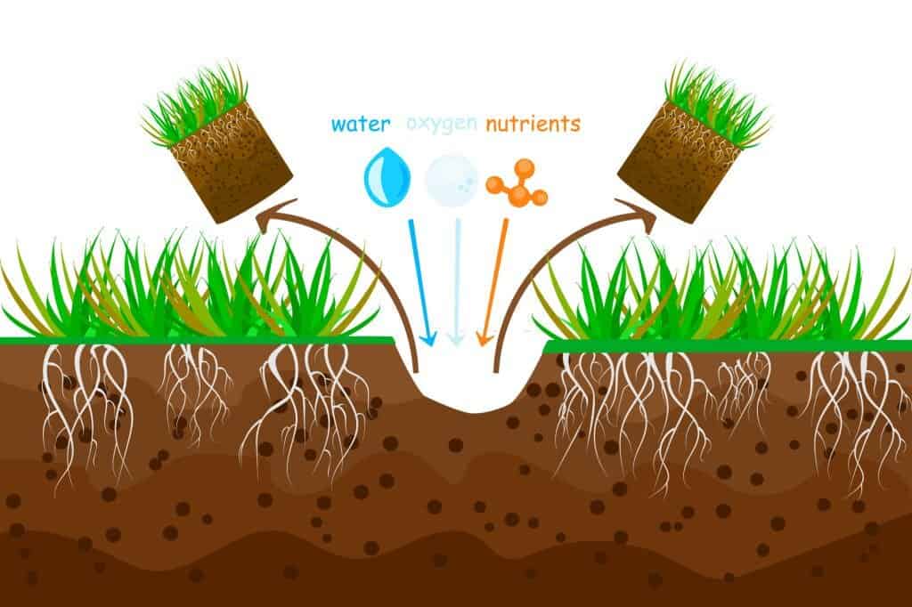busy-lil-beavers-aeration-south-bend Granger, South Bend, Elkhart, aeration experts