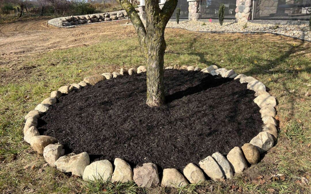 Mulching Myths and Misconceptions