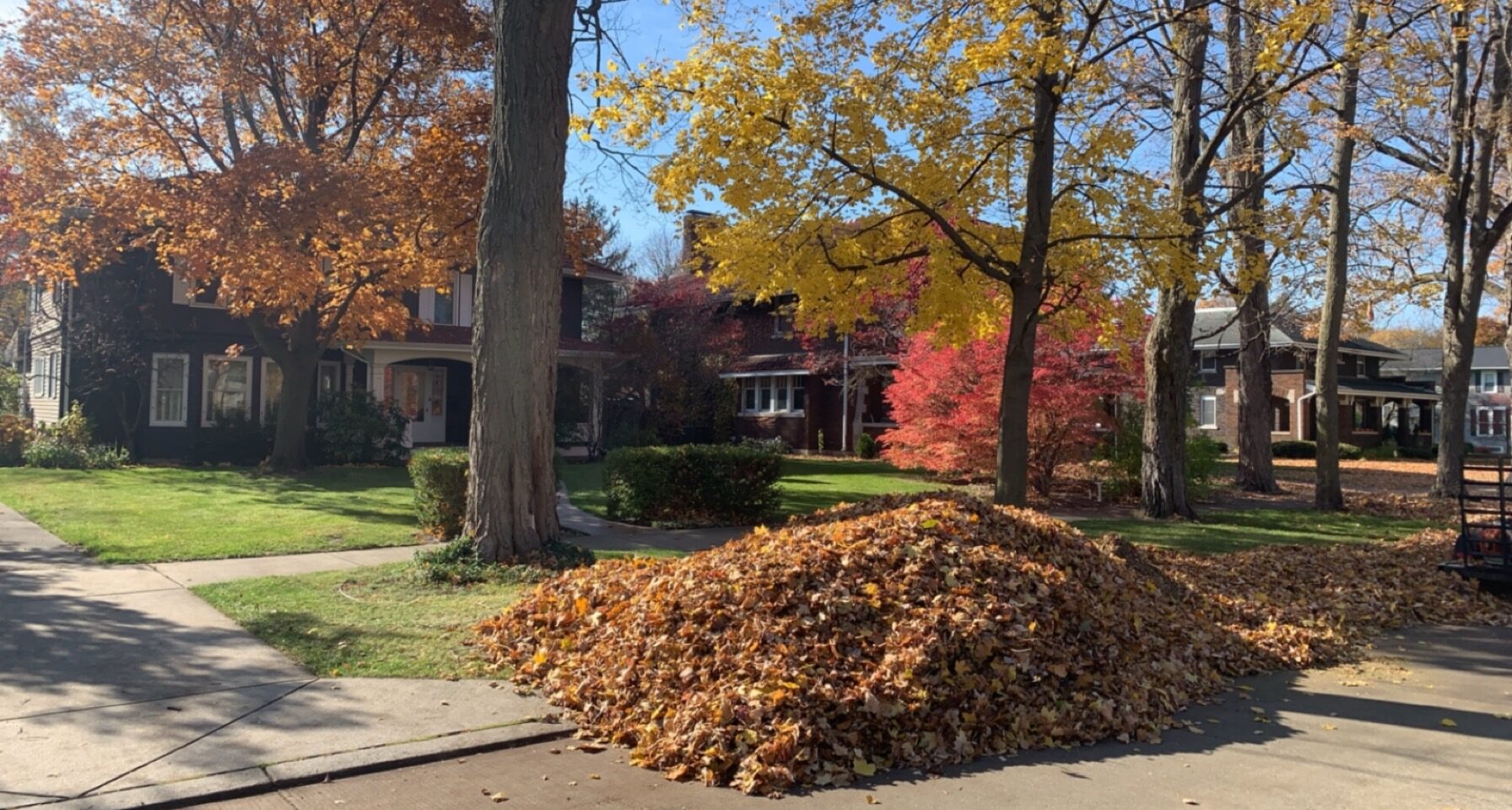 Large pile of raked autumn leaves sits curbside beneath colorful trees in a residential neighborhood during fall cleanup.
