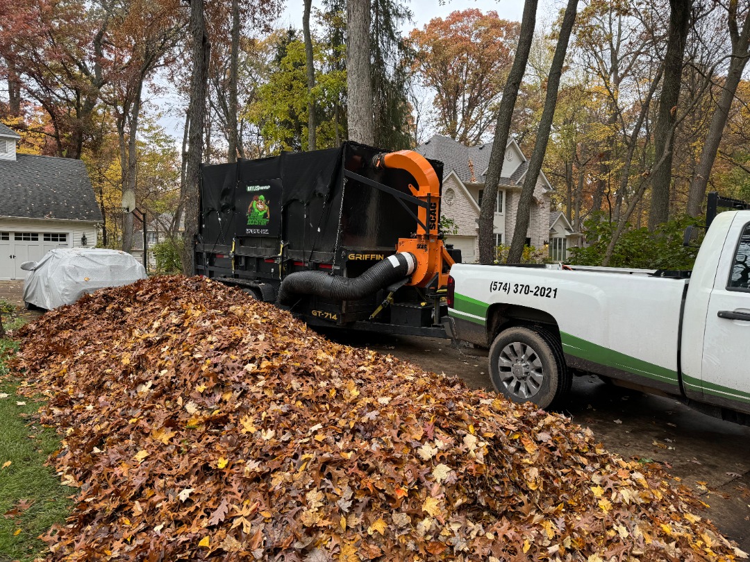 Busy Lil Beavers fall cleanup.