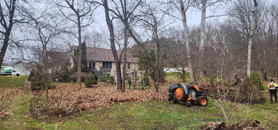 The Busy Homeowner’s Guide to a Masterful and Fast Mulching
