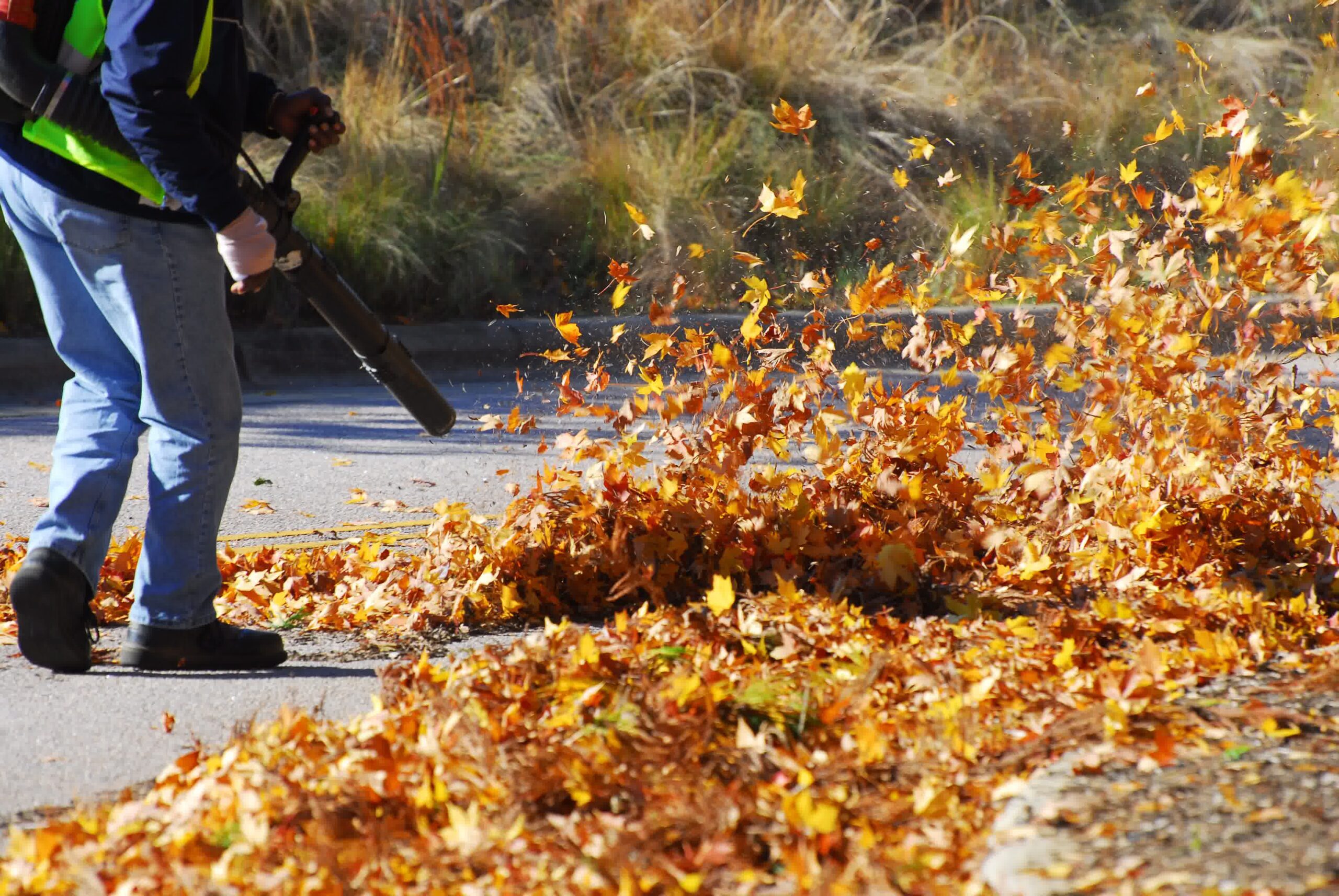 You make do with what you have for a fall cleanup. A leaf blower like this one is perfect for the job.