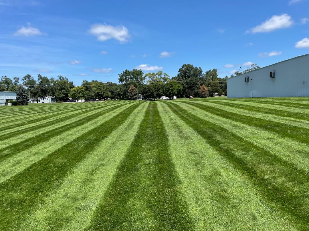 A beautiful lawn that gets expert attention.
