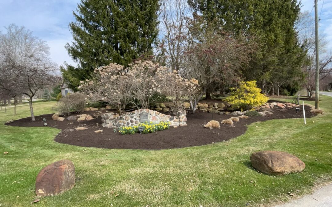 Mulching Tips for Healthier Soil and Stronger Plants