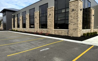 Mulch Care Tips – Keep Your Beds Beautiful Year-Round