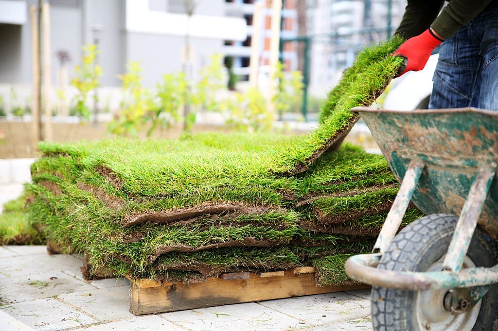 Worker lifts fresh sod from stacked pallet beside a wheelbarrow on paved surface during residential landscaping project.